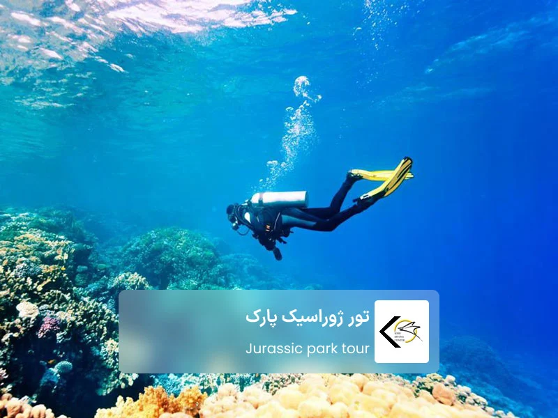 تور غواصی ژوراسیک پارک در مرکز غواصی و تفریحات دریایی کیش