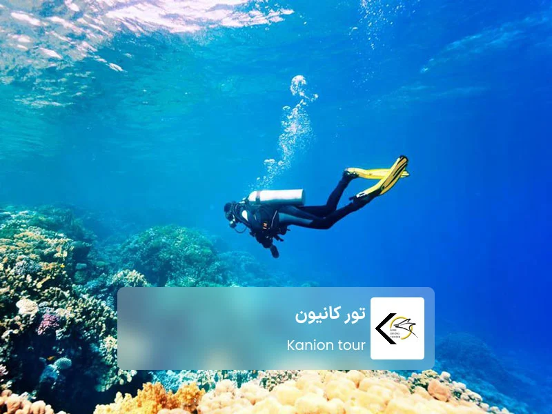 تور غواصی کانیون در مرکز غواصی و تفریحات دریایی کیش