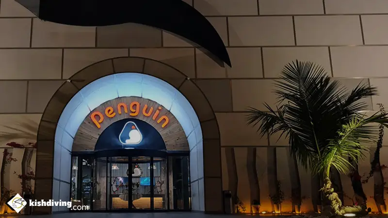 پارک برفی کیش در شب