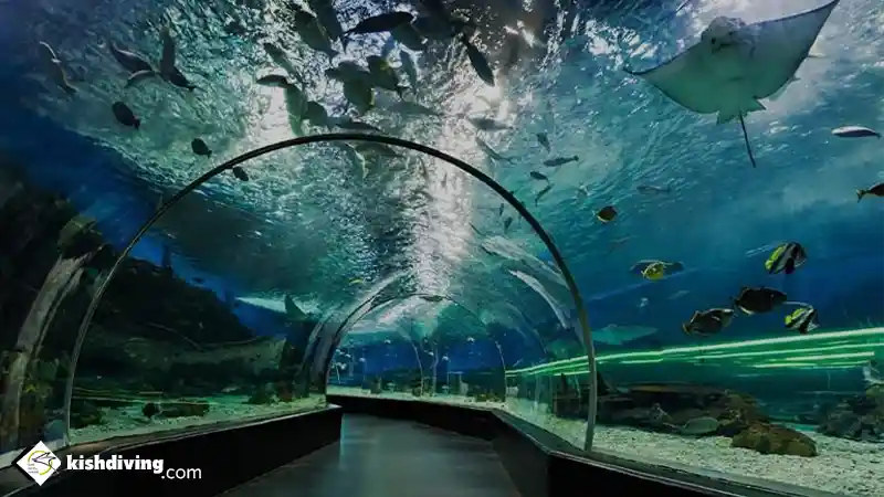 آکواریوم میکامال کیش و تماشای موجودات رنگارنگ دریایی
